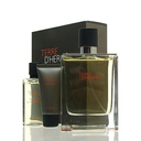 Hermes Terre D Hermes SET - EDT 100 ml + DG 40 ml + A.S. 15 ml