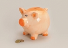 SPARSCHWEIN KERAMIK 14X14X18CM