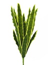 Sansevieria (EVA), grün-gelb, 74cm, Kunstpflanze