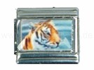 Italian Charm Glieder Armband Motive ohne Stein