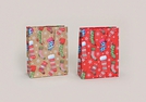 GESCHENKTUETE STRUMPF DEKOR PAPIER 2-F.S.