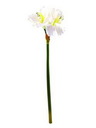 Amarylliszweig, weiß, 72cm, Kunstpflanze