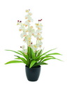 Orchidee, weiß, 80cm, Kunstpflanze
