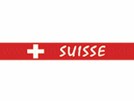 Fanartikel, Silikonarmband Länder