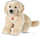 Golden Retriever, 30 cm, Plüsch