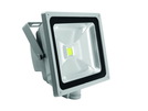 EUROLITE LED IP FL-50 COB 6400K 120° BW