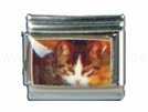 Italian Charm Glieder Armband Motive ohne Stein