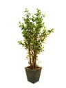 Ficus-Benjamini deluxe/Topf 1386Bl./210cm, Kunstpflanze