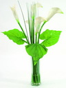 Calla im Glas 3 Blätter 5 Blüten 64cm, Kunstpflanze
