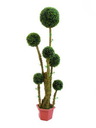 Buchskugelbaum 6-fach im Zementtopf 163cm, Kunstpflanze