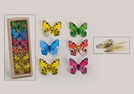 SCHMETTERLING A.KLAMMER KUNSTST.5-F.S.8CM