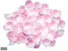 Rosenblätter Blütenblätter weiß rosa 500er
