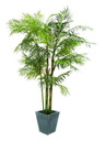 Cycusrohrpalme 280cm, Kunstpflanze