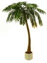 Palme 1-stämmig mit 810 Blättern 300cm, Kunstpflanze