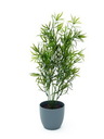 Asparagus, 50cm, Kunstpflanze