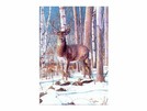 ALU-627 Alu - Bilder