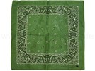 BA-169 Bandana paisley grün