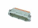 SQUICH Steckereinsatz 24-pol 24A 500V