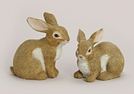 HASE POLY 2-F.S.20X11X19/16CM