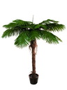 Phönixpalme mit Palmfaserstamm 180cm, Kunstpflanze