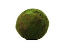 Mooskugel, grün, ca.50cm, Kunstpflanze