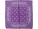 BA-064 Bandana Kopftuch paisley dunkel lila