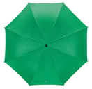 Taschenschirm "Regular", Gruen, Ø85 cm