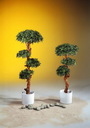 Bonsai-Palmenbaum mit 4800 Blättern 120cm, Kunstpflanze