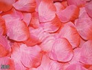 Rosenblätter Blütenblätter rosa rot 500er