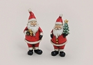 NIKOLAUS M.BAUM/STERN POLY 2-F.S. 13CM