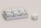 TEELICHT-SET EISBAER 6-TLG.4X4CM}