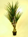 Säbelzahn-Agave 185cm, Kunstpflanze