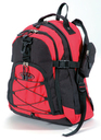 Rucksack, ca. 32x40x22cm