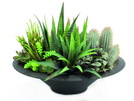 Sukkulenten-Arrangement 104 Blätter 38cm, Kunstpflanze