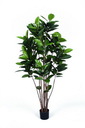 EUROPALMS Gummibaum, 150cm, Kunstpflanze