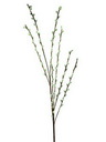 Weidenkätzchenzweig, 117cm, Kunstpflanze