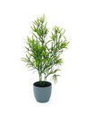 Asparagus, 40cm, Kunstpflanze