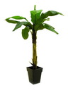Bananenbaum, 220cm, Kunstpflanze