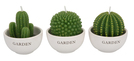 Kerzen-Set Cactus 3tlg. - in Topf