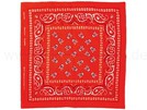 BA-138 Bandana paisley mit Totenköpfen rot