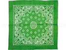 BA-158 Bandana paisley grün
