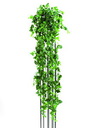 Classic-Pothosbuschranke, 1365Bl./160cm, Kunstpflanze