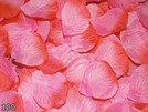 Rosenblätter Blütenblätter rosa rot 100er