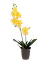 Orchidee, gelb, 57cm, Kunstpflanze