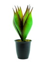 Lotus-Agave 8 Blatt 34cm, Kunstpflanze