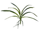Orchideenblatt (EVA), grün, 45cm, Kunstpflanze
