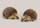 IGEL BRAUN POLY 2-F.S.15X10X9CM