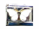 Italian Charm Glieder Armband Motive ohne Stein