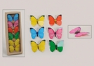 SCHMETTERLING A.KLAMMER KUNSTST.5-F.S.8CM