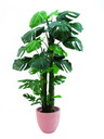 Splitphilodendron Gigant/Zementtopf 160cm, Kunstbaum